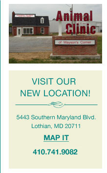 Visit our new location!